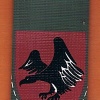 Paratroopers Brigade ( Reserve ) Brigade- 226 "Eagle Design" or "Black Eagle" img31597