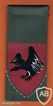 Paratroopers Brigade ( Reserve ) Brigade- 226 "Eagle Design" or "Black Eagle" img31597