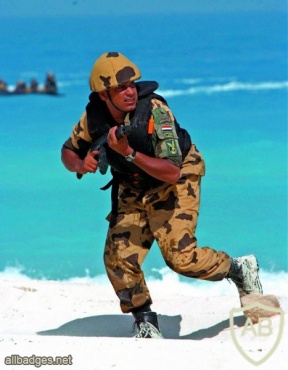EGYPT Para-Commando parachutist sleeve badge img31678