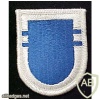 325th infantry 2nd battalion