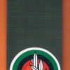 Field forces command