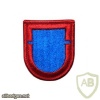 505th infantry regiment 1st battalion