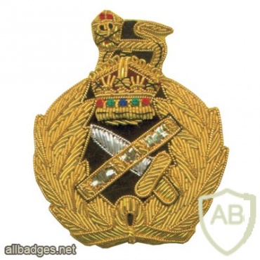 British General Officers Queens Crown Embroidered Cap Badge img32077