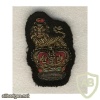 Colonel and Brigadier wire embroidered cap badge img32073