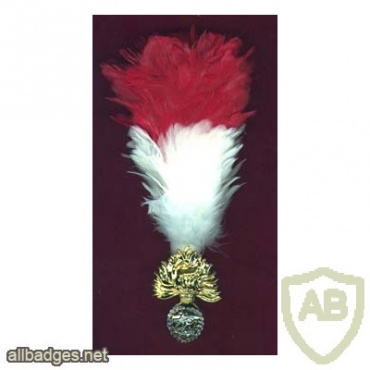 Royal Fusiliers cap badge img32057