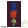 Royal Warwickshire Fusiliers cap badge img32060