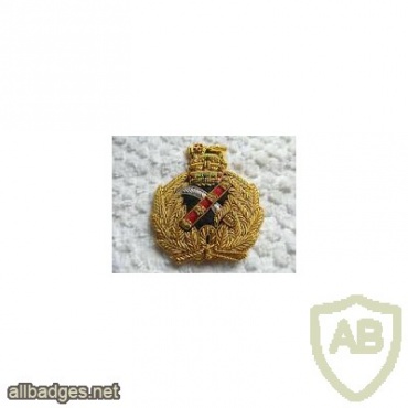British General Officers Queens Crown Embroidered Cap Badge img32076