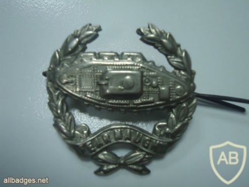 Royal Tank corps cap badge img32051