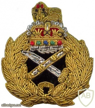 British General Officers Queens Crown Embroidered Cap Badge img32075