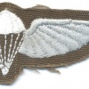 Ciskei Parachute Jump Instructor wings, Combat dress, 1st pattern