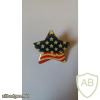 US star pin