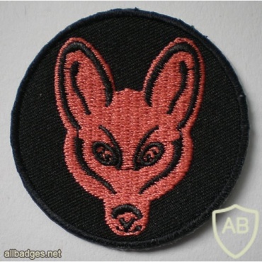 UK 1st reconnaisance Brigade img32272