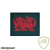 UK 2nd Battalion The Royal Welsh