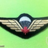 CANADA Army Parachute Jump wings, dark green wool, padded