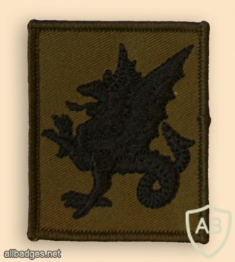 UK 43rd Wessex Brigade img32482