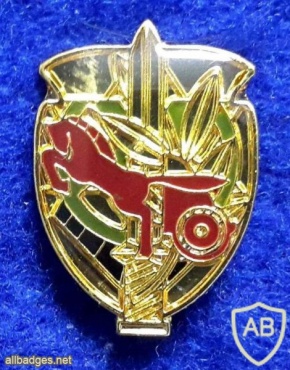 Southern Knights Battalion- 6930 img32507