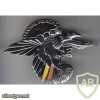Belgium Special Forces chest badge, 2nd type img32453
