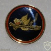 The Flying Tiger Squadron - 102nd Squadron img32537