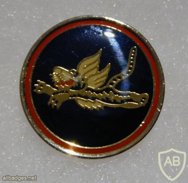 The Flying Tiger Squadron - 102nd Squadron img32537
