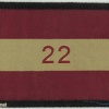 UK Cheshire 22nd Regiment