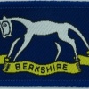UK 94th (Berkshire Yeomanry) Signal Sqn