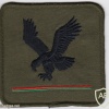 UK Air Corps AAC 4th Regiment DZ Eagle PI