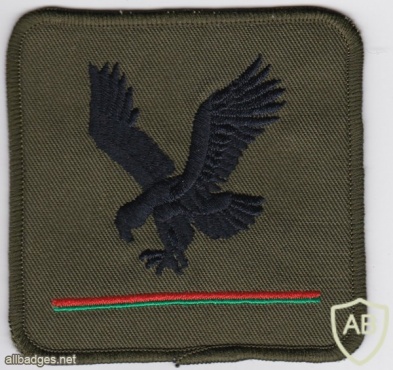 UK Air Corps AAC 4th Regiment DZ Eagle PI img32604