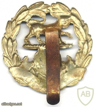 Hampshire Regiment cap badge, WWII img32674