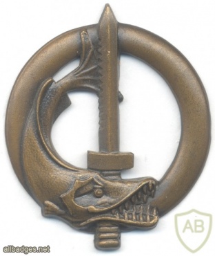FRANCE Army Underwater Intervention Specialist Diver qualification badge img32670