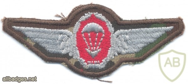BOPHUTHATSWANA Army Special Forces Parachute wings, cloth, 1990s img32657
