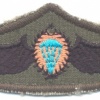 TURKEY Army Special Forces Parachute qualification wings, cloth