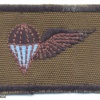 SOUTH WEST AFRICA Parachute Assistant Instructor wings, 1984 - 1990, cloth