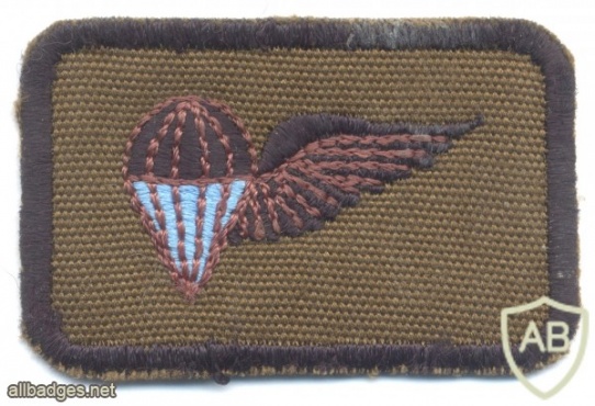 SOUTH WEST AFRICA Parachute Assistant Instructor wings, 1984 - 1990, cloth img32656