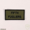 Fifth Fusiliers img32730