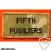 Fifth Fusiliers img32731
