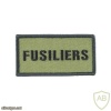 Royal Fusiliers Tactical Recognition Flash img32734