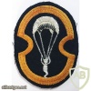 Iran Army Paratrooper battalion patch img32810