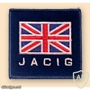 Joint Arms Control Implementation Group (JACIG)