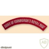 Duke of Edinburgh's Royal Regiment Shoulder Titles img33088