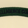 INTELLEIGENCE CORPS titles img33097