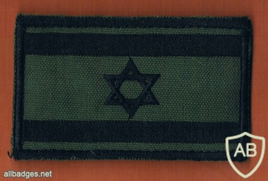 דגל ישראל img33131
