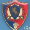  ITALY 4th Carabinieri Cavalry Regiment pocket badge