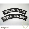 Welsh Guards titles img33144