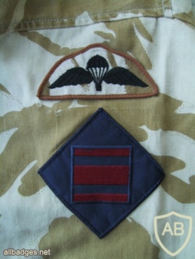 Paratrooper course qualified wings img33175