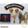 Welsh Guards titles img33145