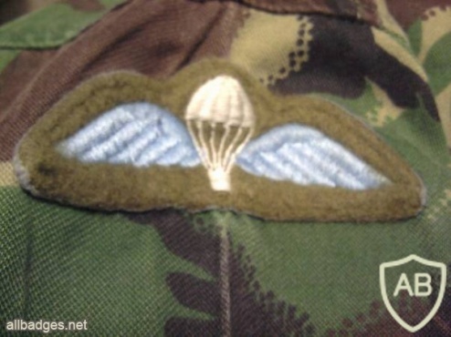 Paratrooper course qualified wings img33174