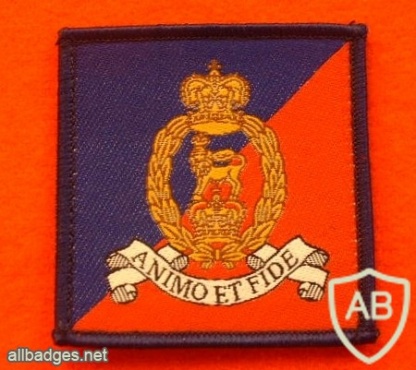 Adjutant General's Corps ( not an officially approved badge but worn ) img33215