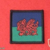Royal Welsh Regiment, headquarters personnel