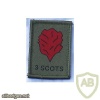 UK Royal Regiment of Scotland (1-5 battalions) img33278