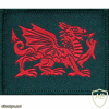 2nd Battalion The Royal Welsh ( Royal Regiment of Wales ) img33305